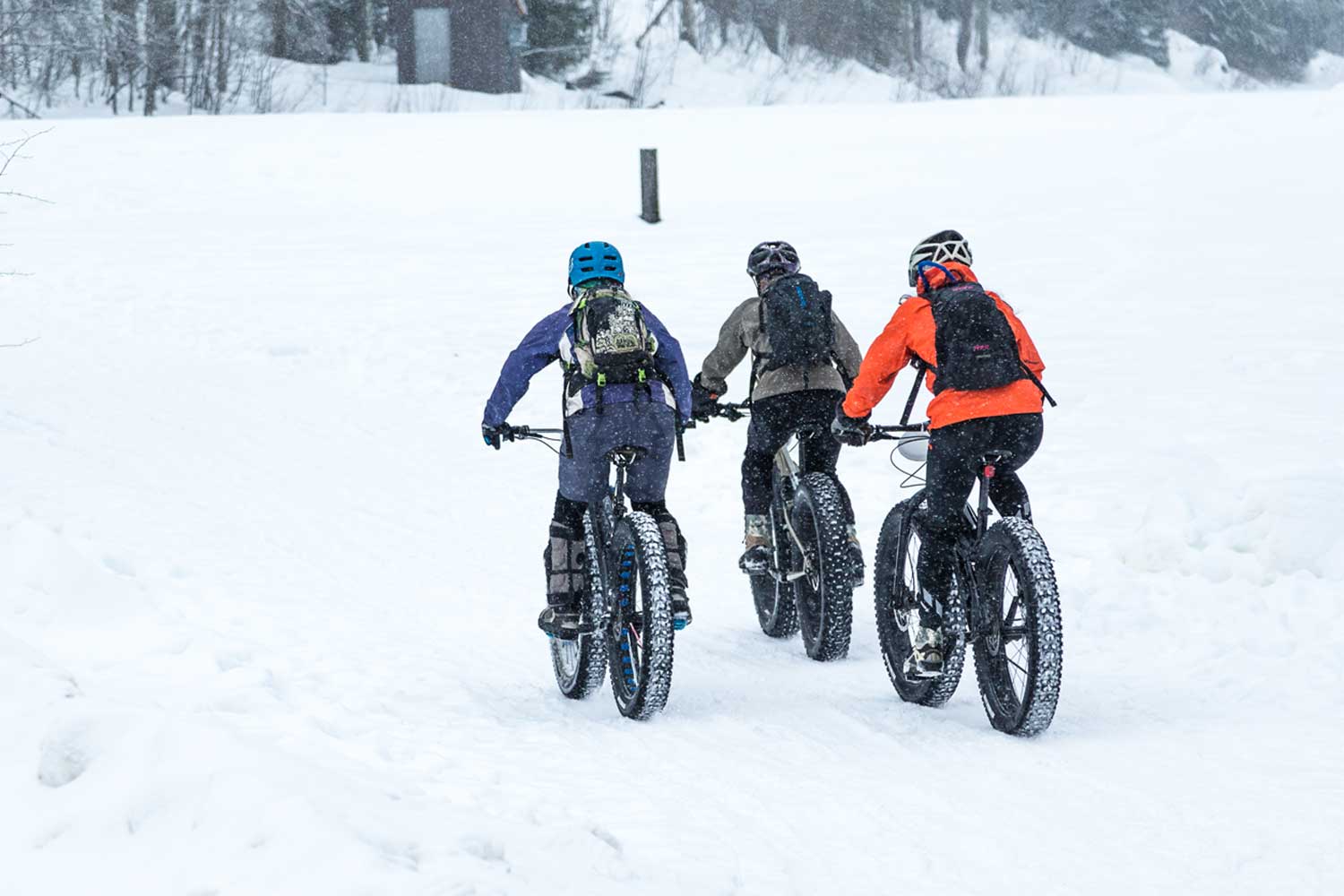 Fatbike Zweden Lapland