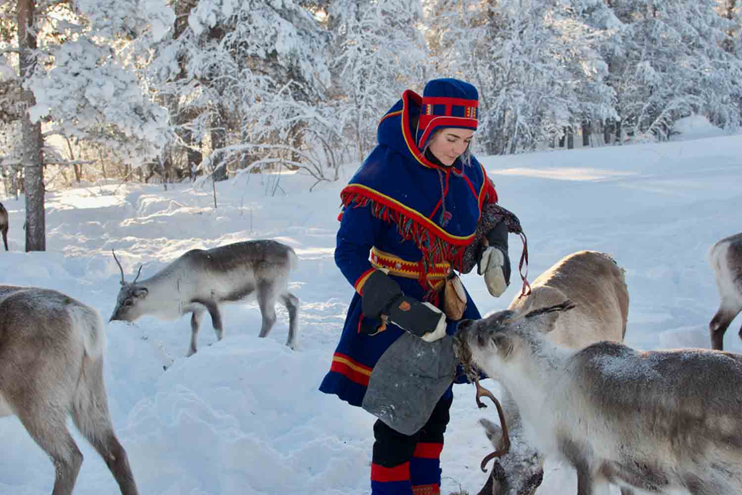 Sami culture Zweden lapland credit-Go-to-Lapland